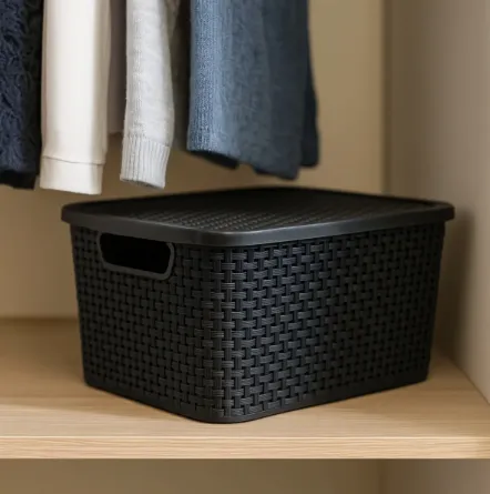 Organizador com Compartimentos - 20L - Arqplast