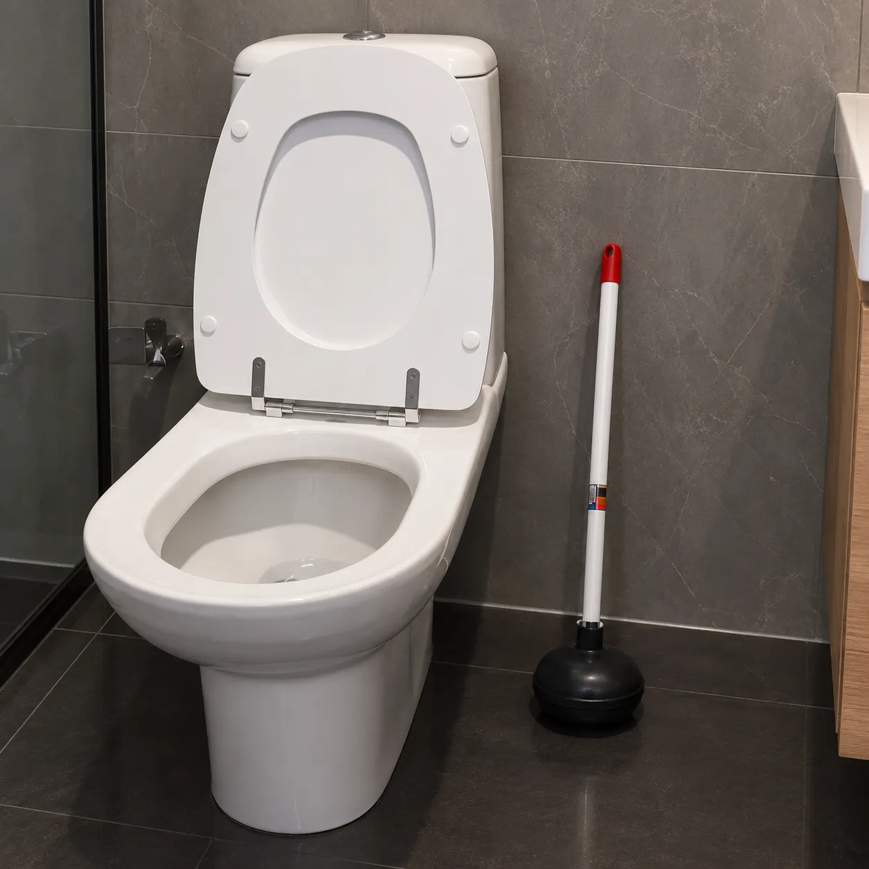 Desentupidor de Vaso Sanitário com Cabo, foto 4